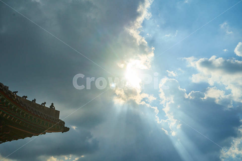 창덕궁,고궁,flare,플레어,light,빛,sunlight,햇빛,nature,자연,outdoors,옥외,하늘,자연,풍경,nature,landscape