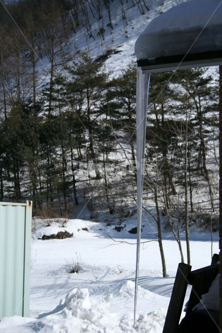 겨울,처마,눈,고드름,나무,겨울,계절,winter,season,자연,풍경,nature,landscape