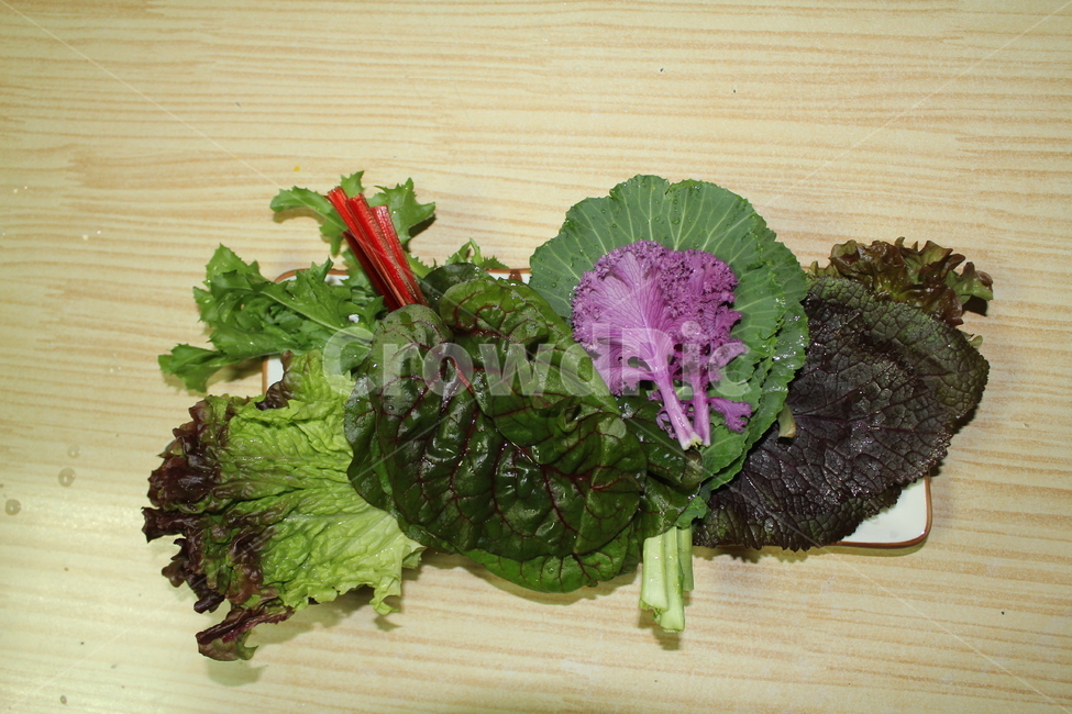 야채,채소,쌈,음식,식사,상추,쌈채소,음식,식재료,요리,food,cook,meal,dishes,food reserves,채소,야채,vegetables