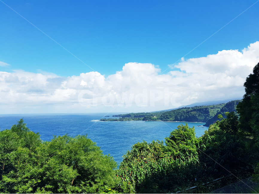 하늘,바다,구름,나무,파랗다,hawaii,cloud,sky,tree,blue,자연,풍경,nature,landscape,outdoors,옥외,land,땅,ocean,대양,sea,water,물,shoreline,해안선