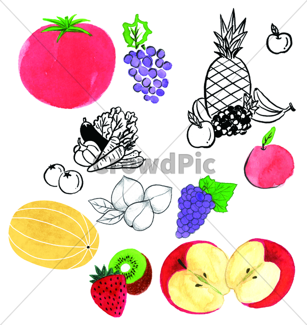 손그림,물감그림,사과,키위,kiwi,apple,복숭아,peach,당근,carrot,handdrawing,포도,grape,watercolor,토마토,tomato,파인애플,pineapple,참외,orientalmelon,koreanmelon,strawberry,딸기,plant,식물,food,음식,fruit,과일