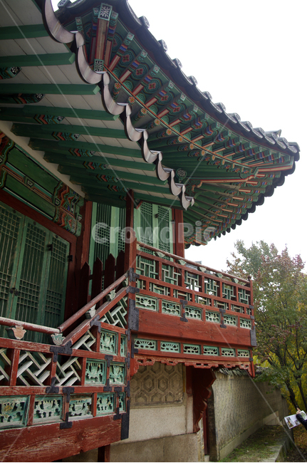 창덕궁,고궁,건축,전통건축,traditional,전통,단청,기와지붕,한국전통,한국문화,korean traditional,korean culture,건축물,건물외관,exterior,building,structure,architecture,construction