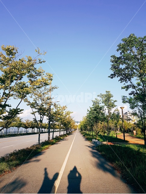 하늘,여름,풍경,화창한날씨,맑음