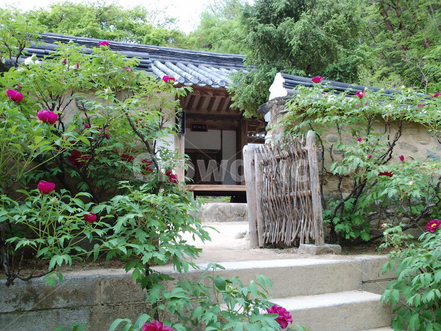 도산서원,한국전통,한옥,모란,전통가옥,한국전통,한국문화,korean traditional,korean culture,건축물,건물외관,exterior,building,structure,architecture,construction