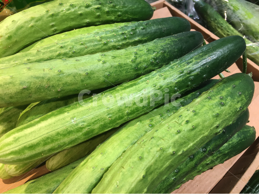 오이,채소,야채,음식,식재료,식품,건강식품,cucumber,vegetable,건강,건강음식,healthyfood,healthfood,초록색,그린,green,녹색,food,fresh,음식,식재료,요리,food,cook,meal,dishes,food reserves,채소,야채,vegetables