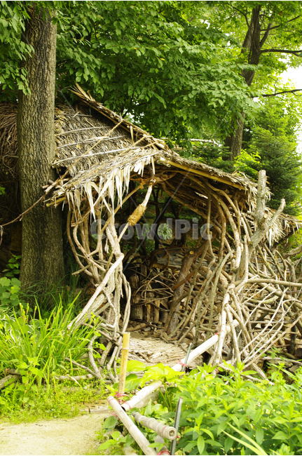 식물,color,nature,자연,나무,나무집,숲,wood,자연,풍경,nature,landscape,outdoors,옥외,building,건물