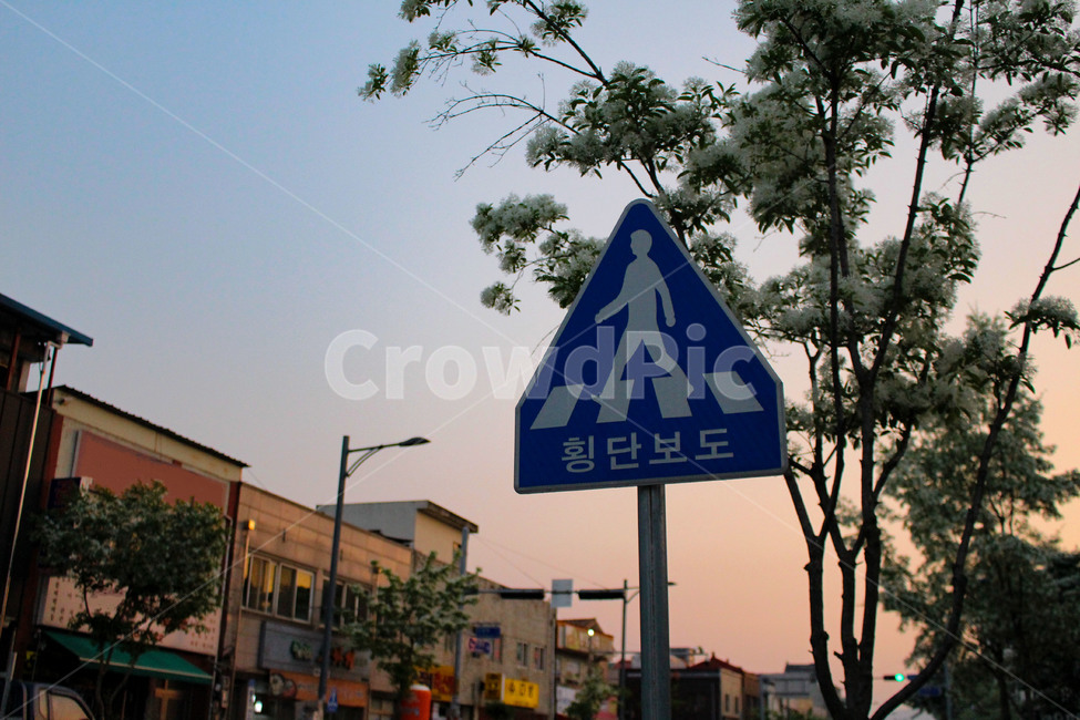 노을,길거리,횡단보도,표지판,하늘,안내,동네,가로수,나무,신호등