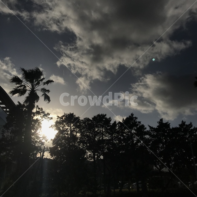 자연,풍경,제주도,감성,해,자연,풍경,nature,landscape,light,빛,flare,플레어