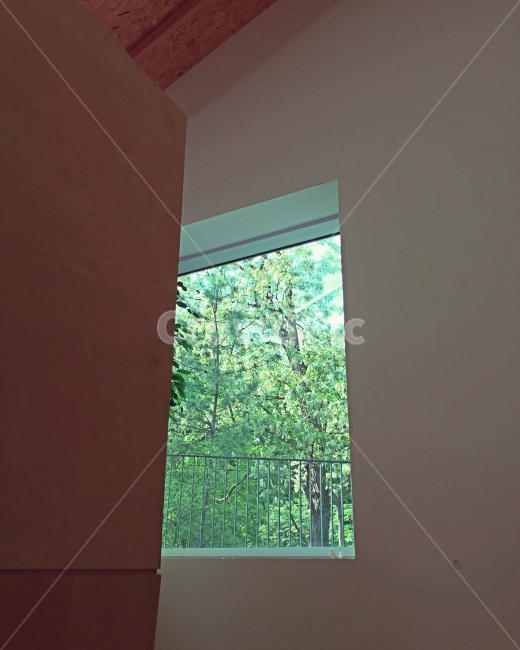 나무,화이트,하얀색,창문,도서관,인테리어,실내디자인,interior design