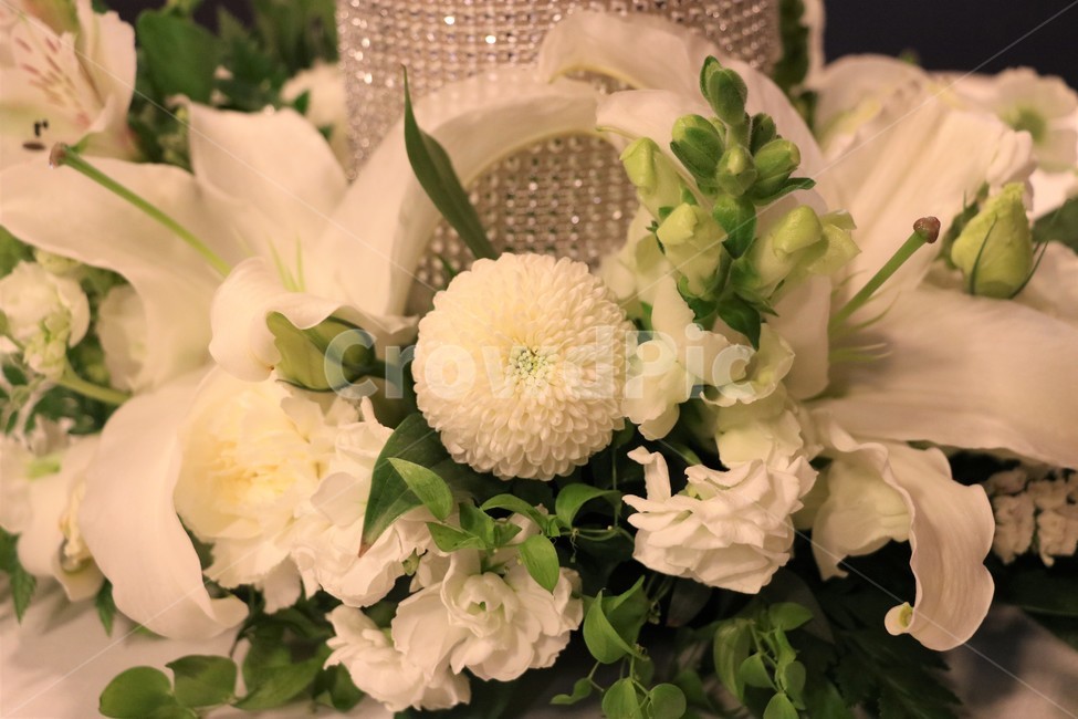 센터피스,플라워,결혼식,하얀색꼿,인테리어,꽃,flower,결혼,혼례,웨딩,wedding,marriage,marry,기념일,축하,anniversary,congratulation,celebrate,celebration