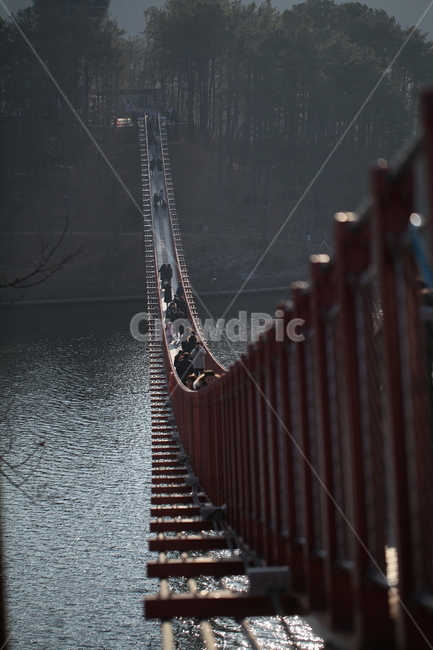 출렁다리,bridge,다리,호수식물,로프브릿지,ropebridge