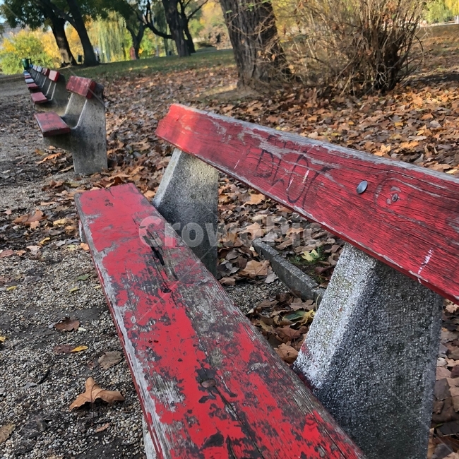 공원,park,의자,벤치,furniture,가구,ground