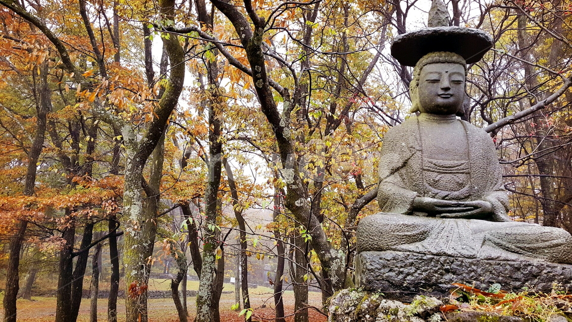 부처,단풍,절,사색,가을,조각상,동상,석상,조형물,statue,bronze statue,stone statue,종교,신앙,religion,belief,faith