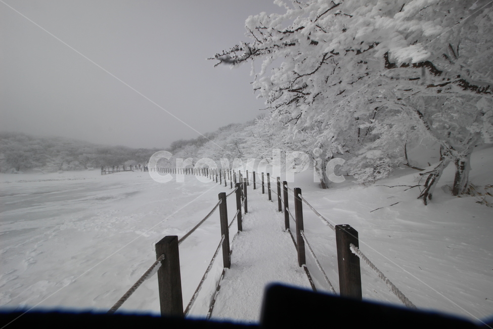 한라산,사라오름,성판악코스,눈꽃,눈산행,HallasanMountain,겨울,계절,winter,season,자연,풍경,nature,landscape,storm,폭풍,snow,눈,blizzard,눈보라,outdoors,옥외