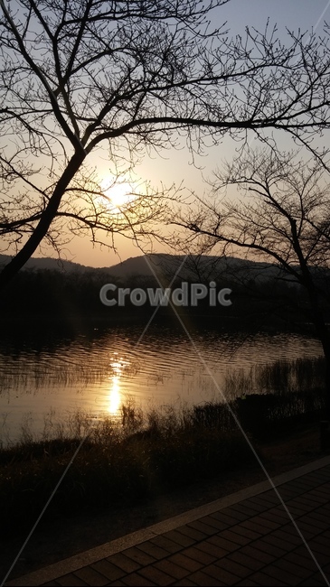 nature,자연,light,빛,햇빛,황혼,일몰,sunset,호수