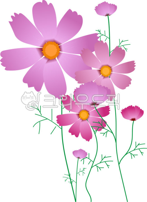 꽃그림,가을꽃,코스모스꽃밭,꽃,코스모스일러스트,코스모스그림,코스모스가을꽃,예쁜꽃,코스모스,꽃밭,꽃손그림,꽃디자인,꽃배경,꽃스티커,꽃장식