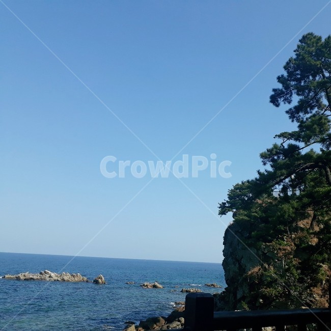 하늘,바다,자연,promontory,곶,낙산사,바위,나무,초록,파란색,파랑,자연,풍경,nature,landscape