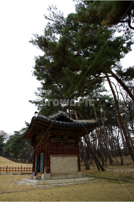 왕릉,전각,조선,한국,전통,문화유산,릉,한국전통,한국문화,korean traditional,korean culture,건축물,건물외관,exterior,building,structure,architecture,construction