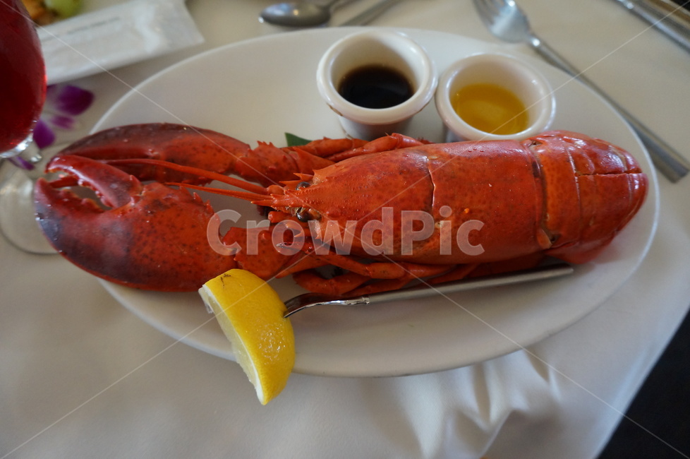 랍스타,음식,맛집,dish,lobster,요리,음식,식재료,요리,food,cook,meal,dishes,food reserves,수산물,해산물,fishery products,seafood