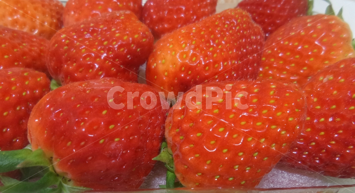 딸기,strawberry,장미과,붉은열매,과일,매,초매,농산물,음식,식재료,요리,food,cook,meal,dishes,food reserves,과일,열매,fruit