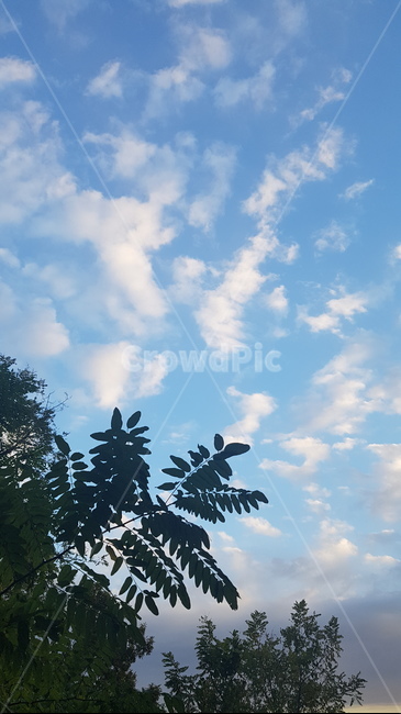 하늘,구름,sky,파란색,cloud,skyblue