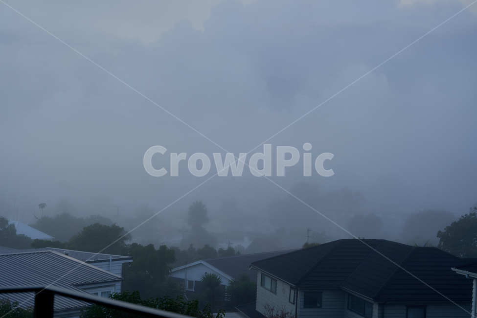 안개,마을,새벽,동네,오클랜드,뉴질랜드