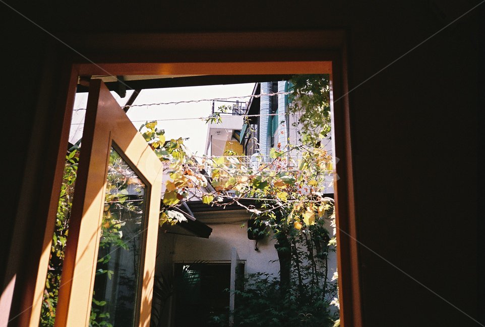 실내,카페,cafe,문,door,indoor,interior,인테리어,필름,필름사진,film