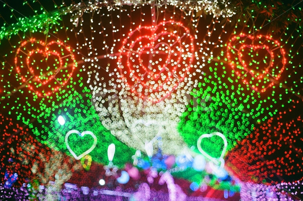 보케,조명,빛,bokeh,light,colorful,splendid,4