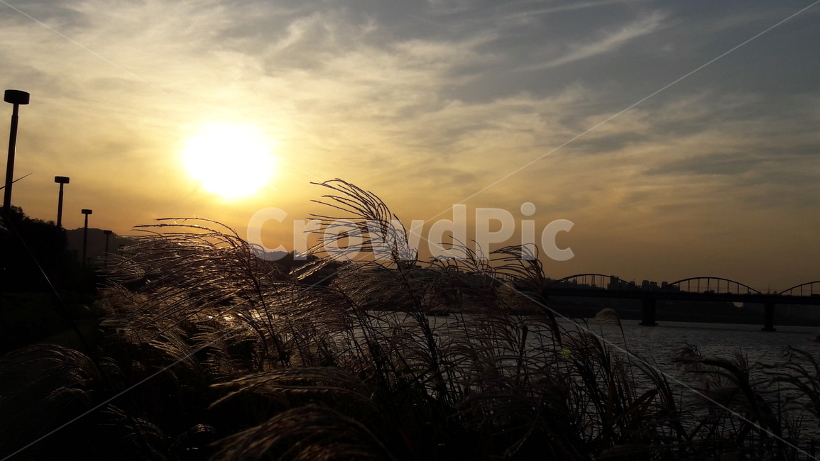하늘,노을,가을,붉은,구름,가을,계절,fall,autumn,season,자연,풍경,nature,landscape,plant,식물,grass,잔디,lawn,reed,갈대