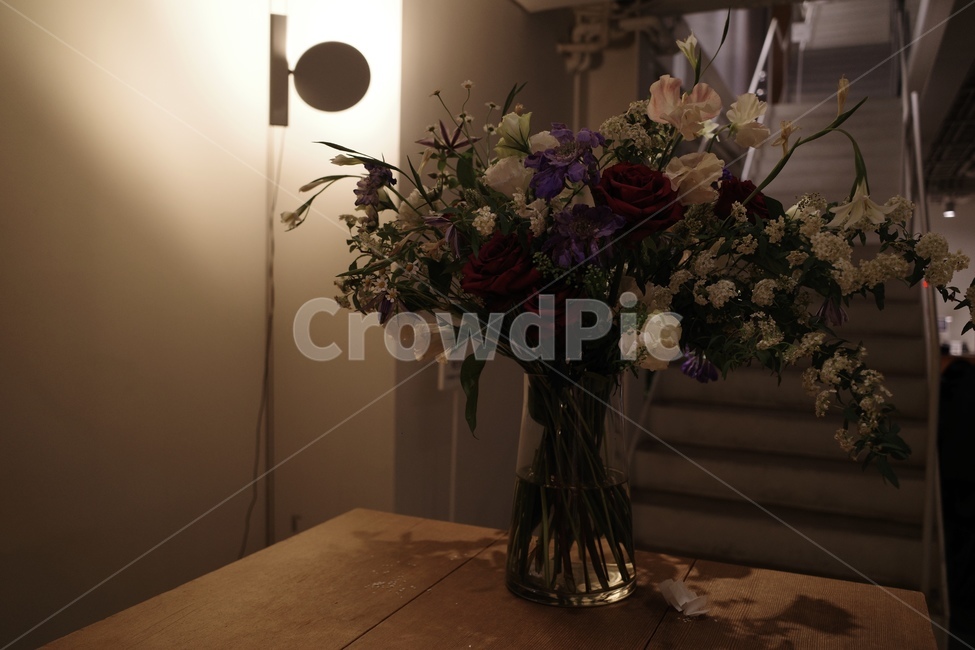 꽃병,식물,꽃,화분,카페,plant,vase,flowers
