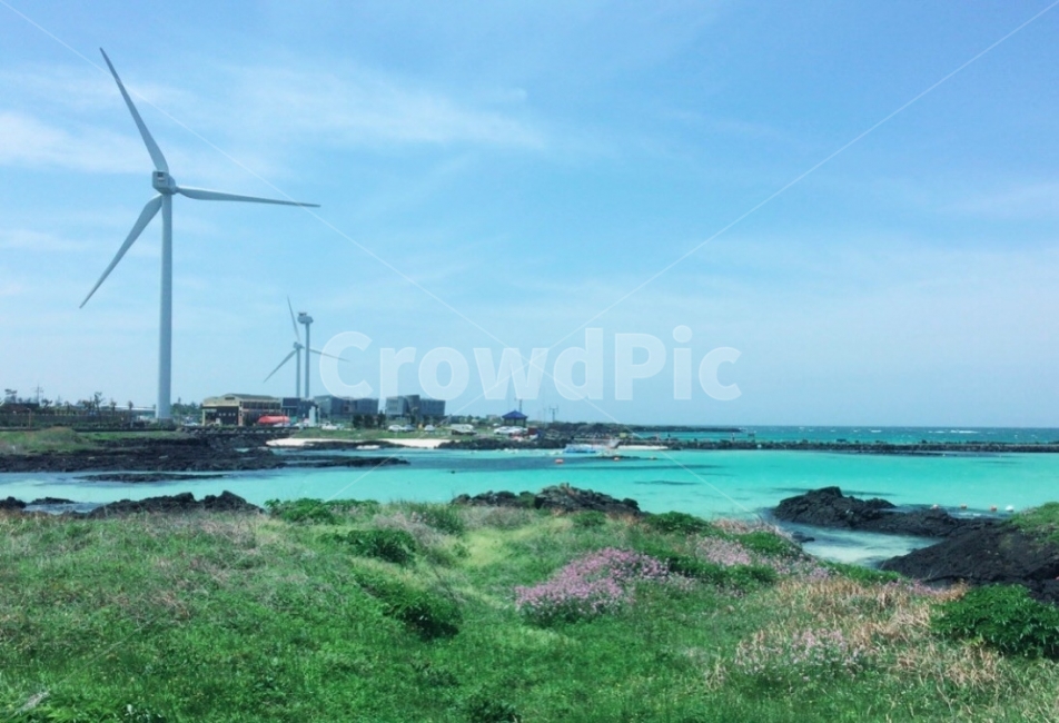 하늘,바다,돌,바람,해안가,날씨,구름,꽃,여행,제주도,힐링,자유,자연,풍경,nature,landscape,한국자연풍경,한국자연경관,korea nature landscape,제주도,jeju,jeju island,색깔,색상,색채,색감,color sense,color sensitivity,feeling of color,산업,industry,industrial,에너지산업,energy industry