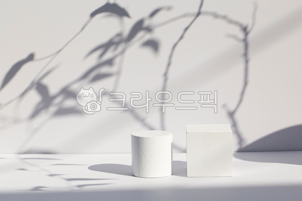 exhibition,shadow,display,leaf,filming props,3d background,white,light,prop,plant,showcase,display box,white box,exhibition die,exhibition stand
