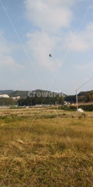 풍경,시골,산,풀,새,자연,풍경,nature,landscape,leisure activities,레저 활동,adventure,모험