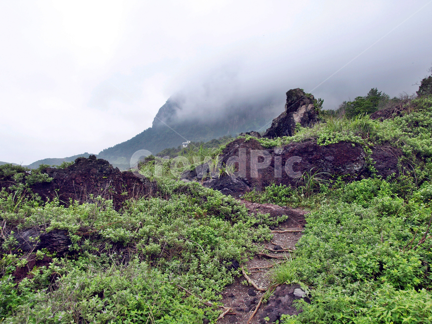 산방산,산방연대,올레10코스,올레,서귀포시,제주,올레길,자연,풍경,nature,landscape,제주도,jeju,jeju island,outdoors,옥외