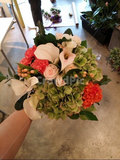꽃,flowers,flower,생화,꽃다발,수국,장미,멘드라미,카라