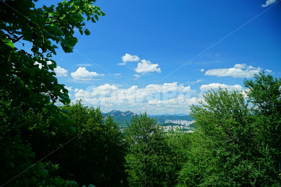 하늘,구름,자연,나무,sky,cloud,nature,tree,블루,blue,푸른하늘,풍경,경치,landscape,scenery,scene,view,korea,seoul,한국,서울,한국자연,mountain,6월,june,초여름,도시,건물,빌딩,citi,시티,전경