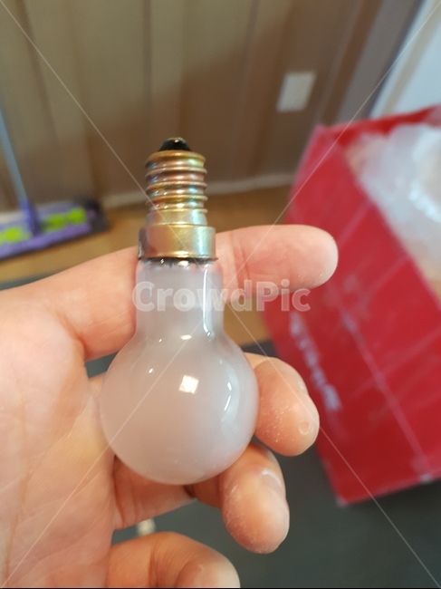 전구,작은전구,소켓,백열등,작은백열등