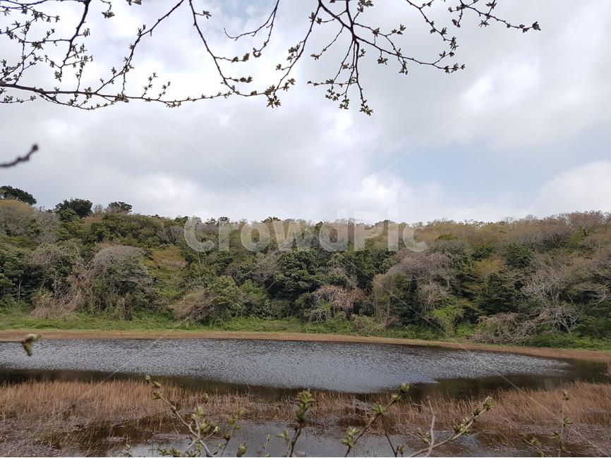 제주도,물영아리,오름,제주,물영아리오름,자연,풍경,nature,landscape,한국자연풍경,한국자연경관,korea nature landscape,제주도,jeju,jeju island,outdoors,옥외,land,땅,water,물