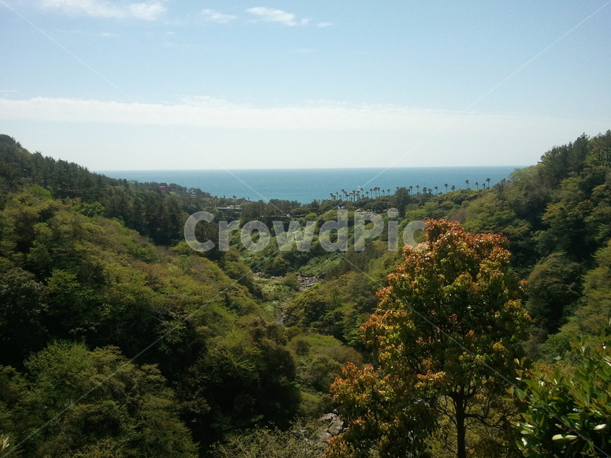 제주도,풍경,산,경치,나무,자연,풍경,nature,landscape,outdoors,옥외,hill,언덕