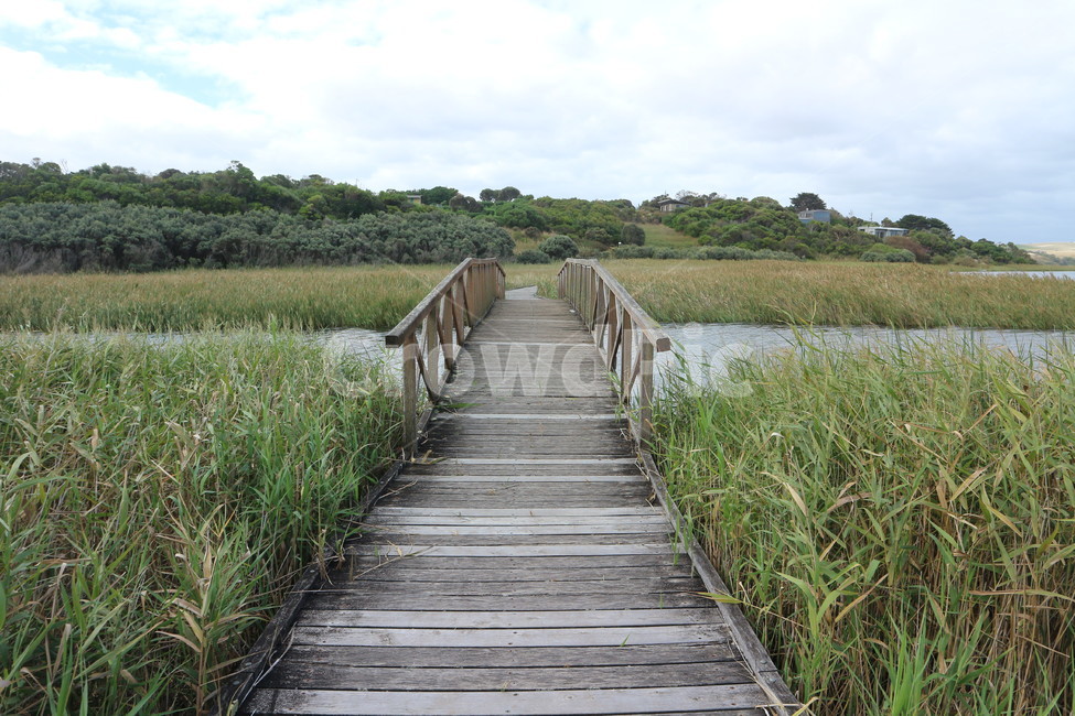 나무길,나무다리,강,강줄기,풀숲,산,bridge,wood,river,forest,road,course,landscape,자연,풍경,nature,landscape,다리,boardwalk,산책로,building,건물