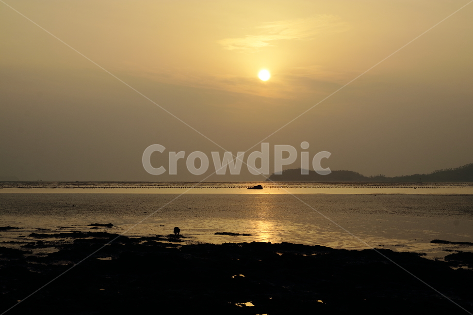 노을,태양,해,땅거미,바다,노을저녁,저녁,자연,풍경,nature,landscape,해변,바다,beach,sea,sunlight,햇빛,outdoors,옥외,light,빛,flare,플레어