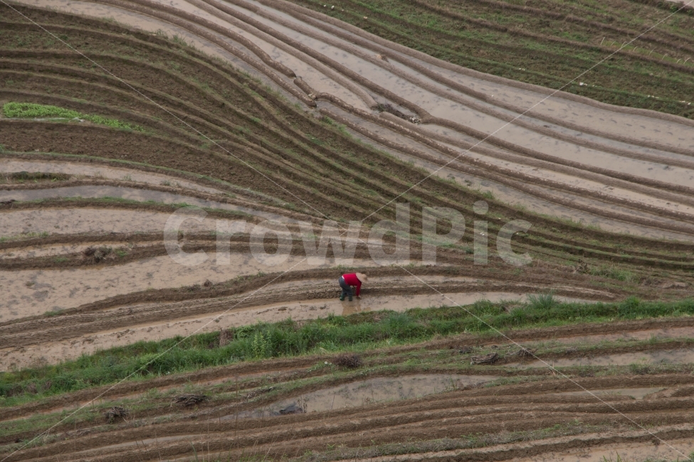 자연,풍경,사람,여행,여행사진,자연,풍경,nature,landscape,시골,마을,country,rural,town,해외,외국,세계,foreign,oversea,world,세계자연풍경,해외자연풍경,외국자연풍경,world nature landscape,사람,인물,인간,human,person,산업,industry,industrial,농업,농사,agriculture,farming,farming industry,slope,경사,outdoors,옥외
