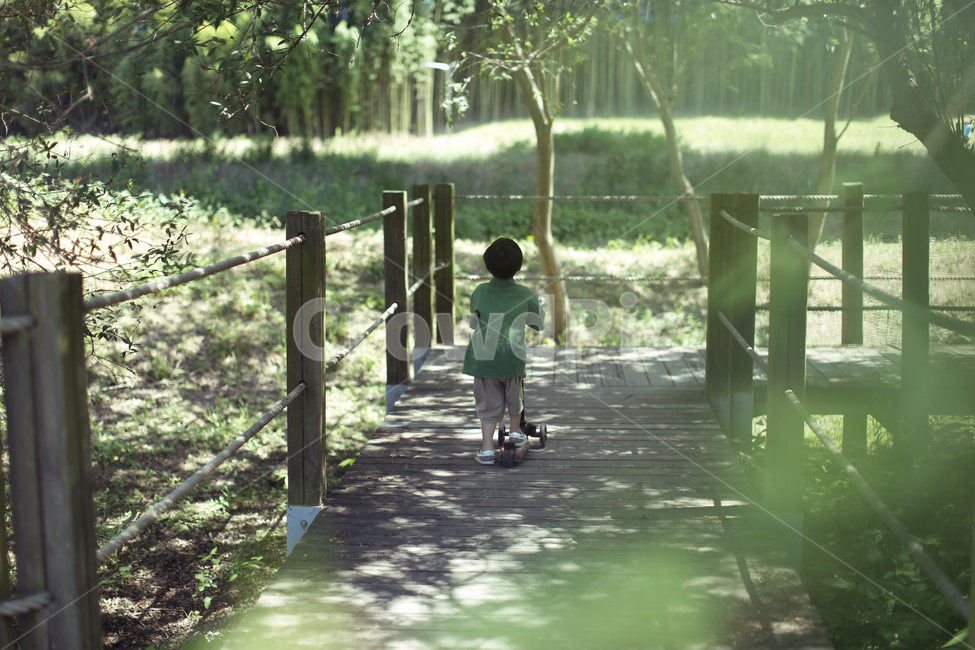 싱그러움,초록잎,뒷모습,아들,킥보드,산책,여름,여름,계절,summer,season,사람,인물,인간,human,person,어린이,어린아이,child,children,kid,휴식,힐링,rest,relaxation,healing,path,통로