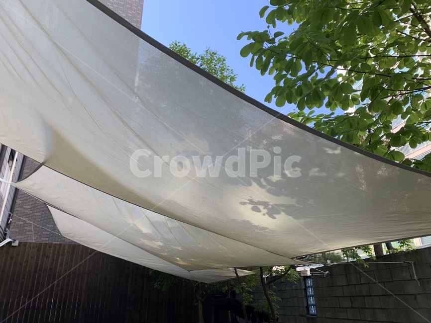 하늘,나무,차양,선셰이드,세일,선셰이드세일,쉐이드,shade,shadesail,안마당,cafe,카페,커피,오후,낮,파랑,tree