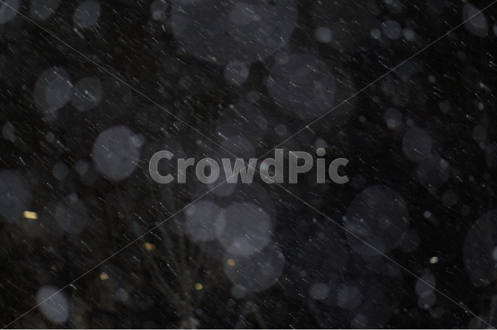 눈,야경,보케,밤,겨울,풍경,겨울,계절,winter,season,야경,밤,풍경,nightscape,night,landscape