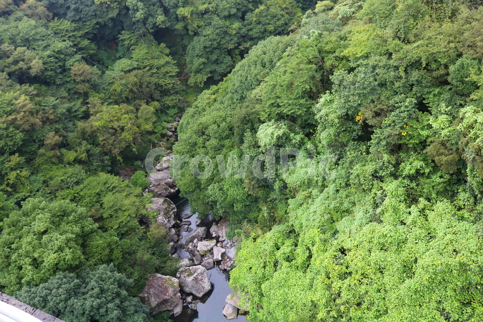 나무,계곡,자연,풍경,식물,자연,풍경,nature,landscape,vegetation,초목,plant,tree,outdoors,옥외,land,땅,rainforest,열대 우림,jungle,밀림