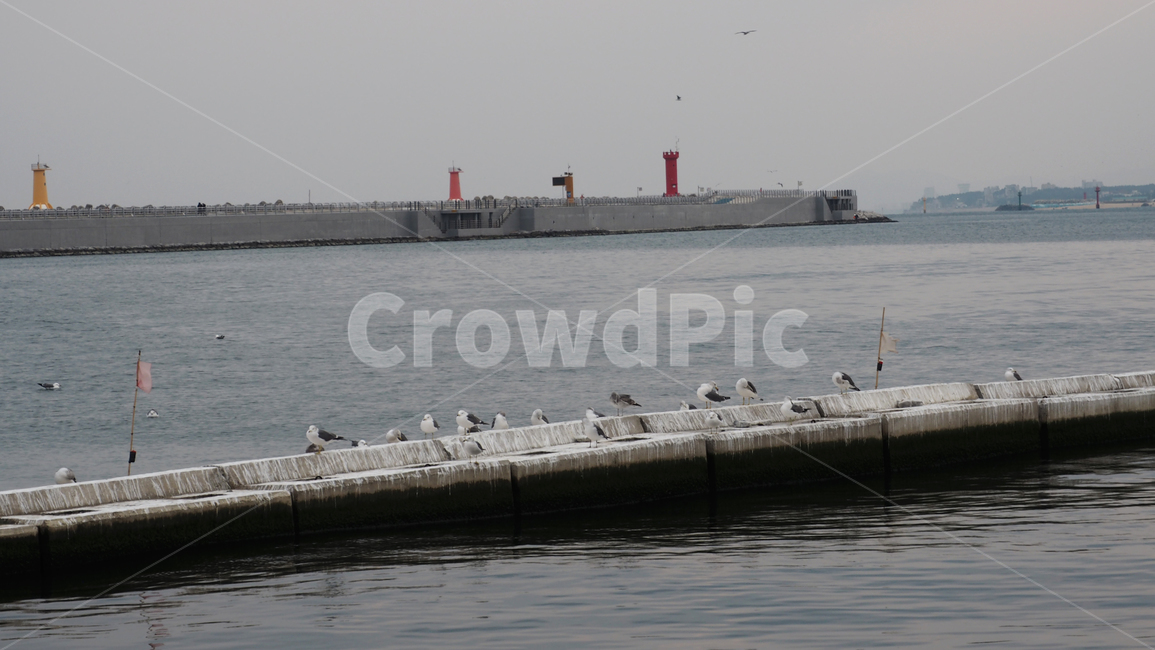 바다,항구,sea,port,선박,vessel