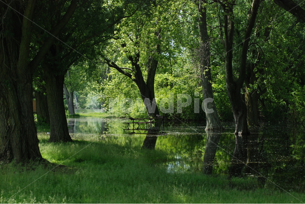 캐나다,공원,자연,숲,나무,canada,toronto,park,자연,풍경,nature,landscape,land,땅,outdoors,옥외,water,물,tree,plant,식물
