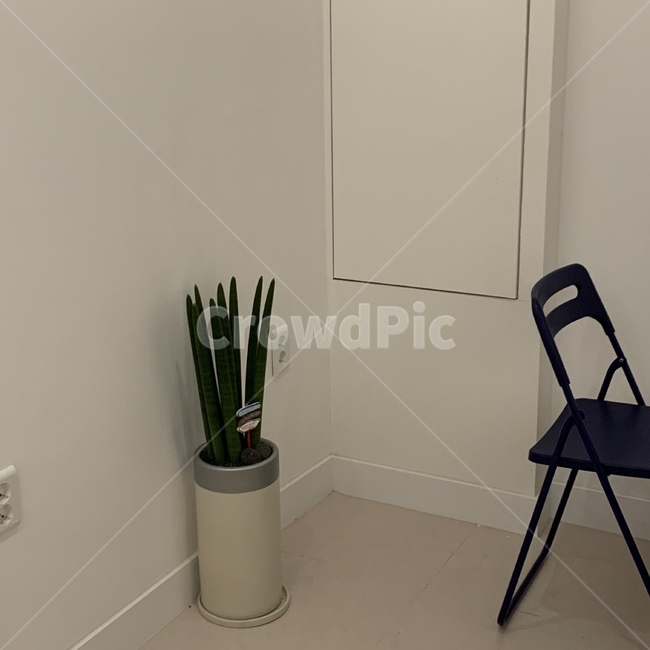 의자,chair,plant,green,여백
