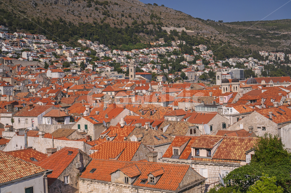 크로아티아,두브로부니크,구시가지,주황,지붕,산,도시,주황지붕,도시,풍경,city,landscape,해외,외국,세계,foreign,oversea,world,세계도시풍경,해외도시풍경,외국도시풍경,world cityscape,roof